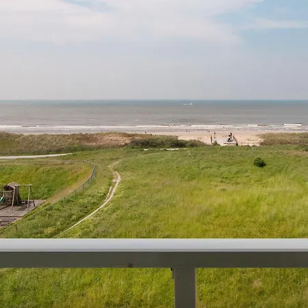 The Lookout *
